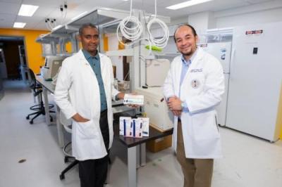 Research Story Image