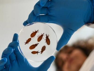 Research Story Image